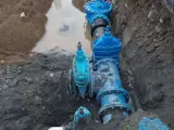 Blue Spur Valve