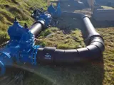 Blue Spur Valve